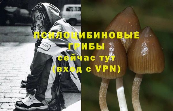 a pvp Алексин