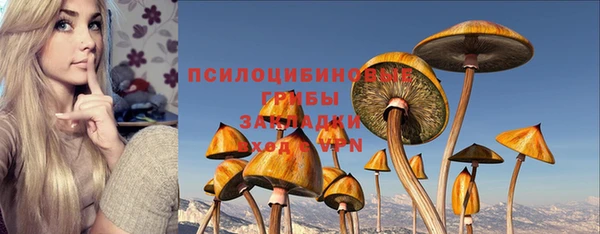 a pvp Алексин