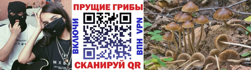 Галлюциногенные грибы мухоморы  Алексеевка 