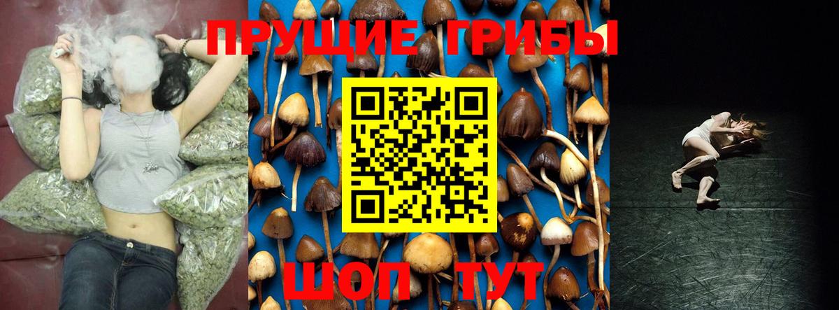 Псилоцибиновые грибы мицелий Алексеевка