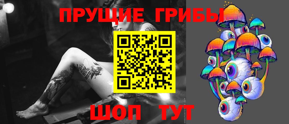 Псилоцибиновые грибы GOLDEN TEACHER  Вход с VPN  купить наркоту  Алексеевка  Псилоцибиновые грибы Psilocybe 